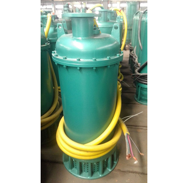 防(fang)爆排污泵 防爆排(pai)污泵