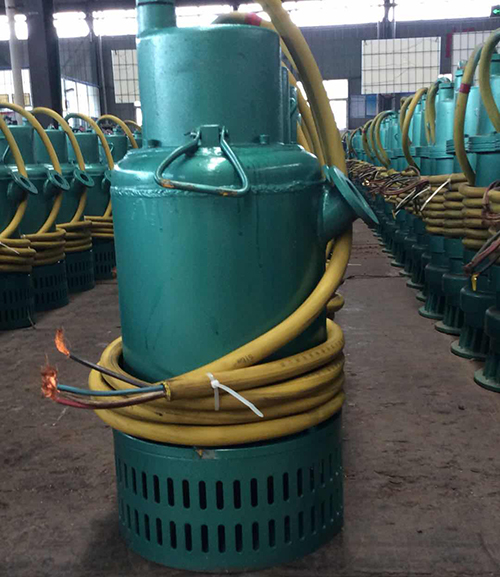 防爆排污泵圖(tu)片 防爆排污泵(bèng)圖片